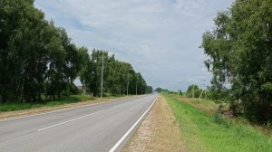 В Республике Марий Эл обустроили 4,3 км линий искусственного освещения на трассе Помары – Коркатово